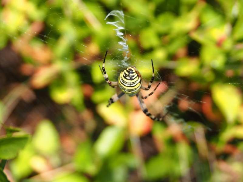 Guide to catspins promotions