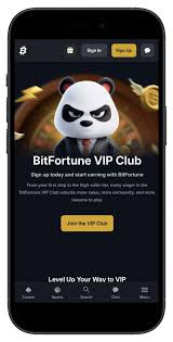 Your Ultimate Guide to Bitfortune Casino A Beginner's Roadmap