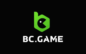 Comprehensive Guide to BC.Game Support