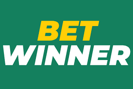Explore the Exciting World of BetWinner Casino Platform