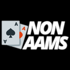 Scopri il Mondo dei Casinò Online Non AAMS