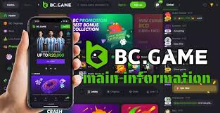 The Official BC.Game Mirror Site - Your Gateway to Endless Gaming