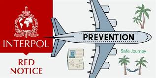Understanding the Role of Interpol Defense Lawyers 1333215160