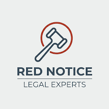 Understanding the Role of Interpol Defense Lawyers 1333215160