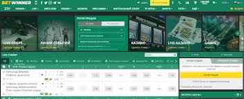 Comprehensive Review of BetWinner Casino and Sportsbook -829145683